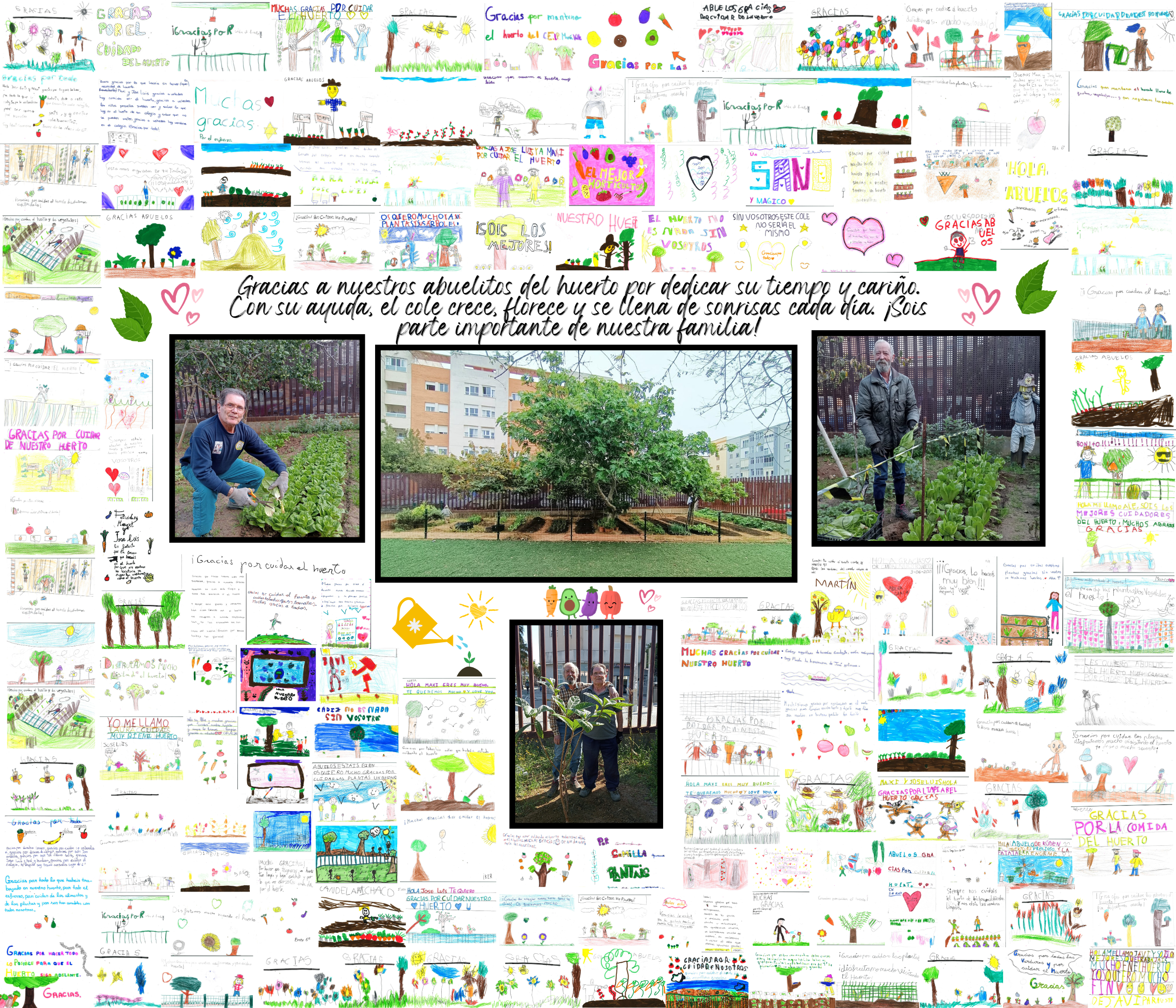 COLLAGE HUERTO2